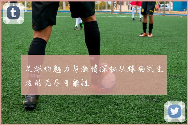 足球的魅力与激情探秘从球场到生活的无尽可能性
