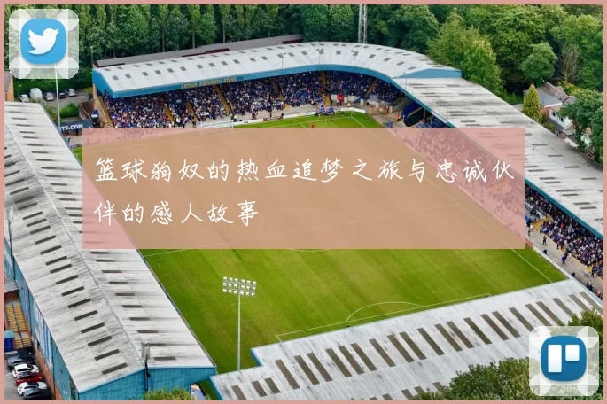 篮球狗奴的热血追梦之旅与忠诚伙伴的感人故事