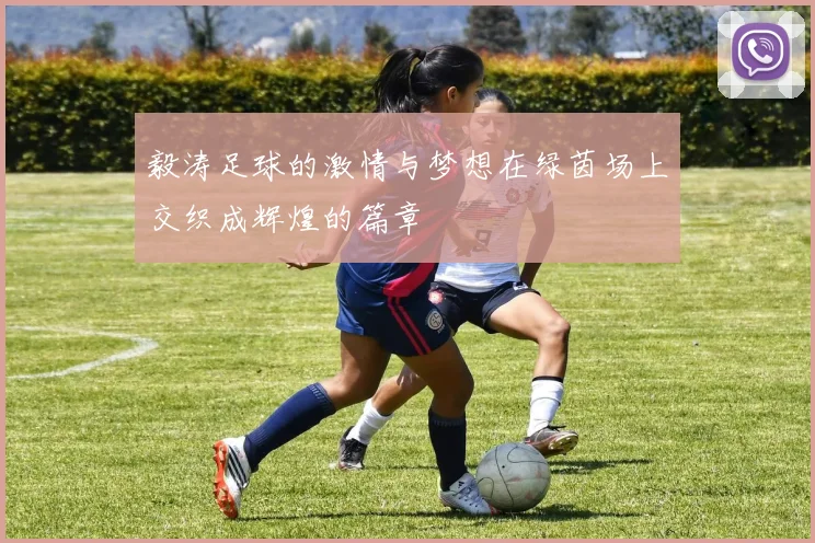 毅涛足球的激情与梦想在绿茵场上交织成辉煌的篇章
