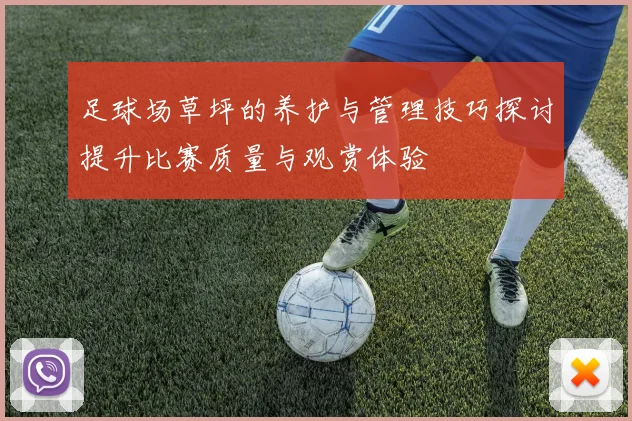 足球场草坪的养护与管理技巧探讨提升比赛质量与观赏体验